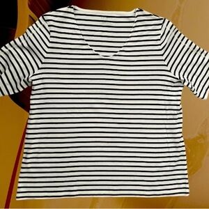 Talbots woman 2x 100% cotton shirt